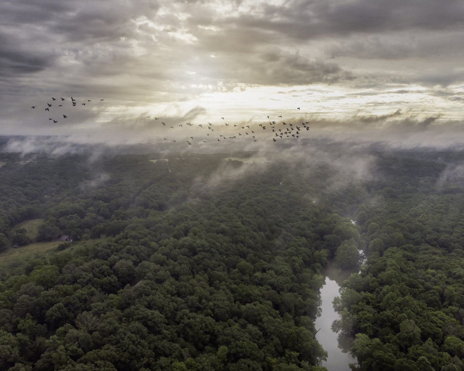 Estudo revela milhares de geoglifos na Amazônia e amplia mistério sobre antiga civilização